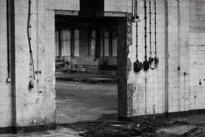 Foto von Michael Schüler